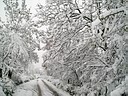 Klikni za uvecanje