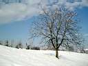 Klikni za uvecanje