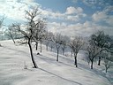Klikni za uvecanje