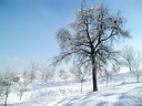 Klikni za uvecanje