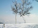 Klikni za uvecanje